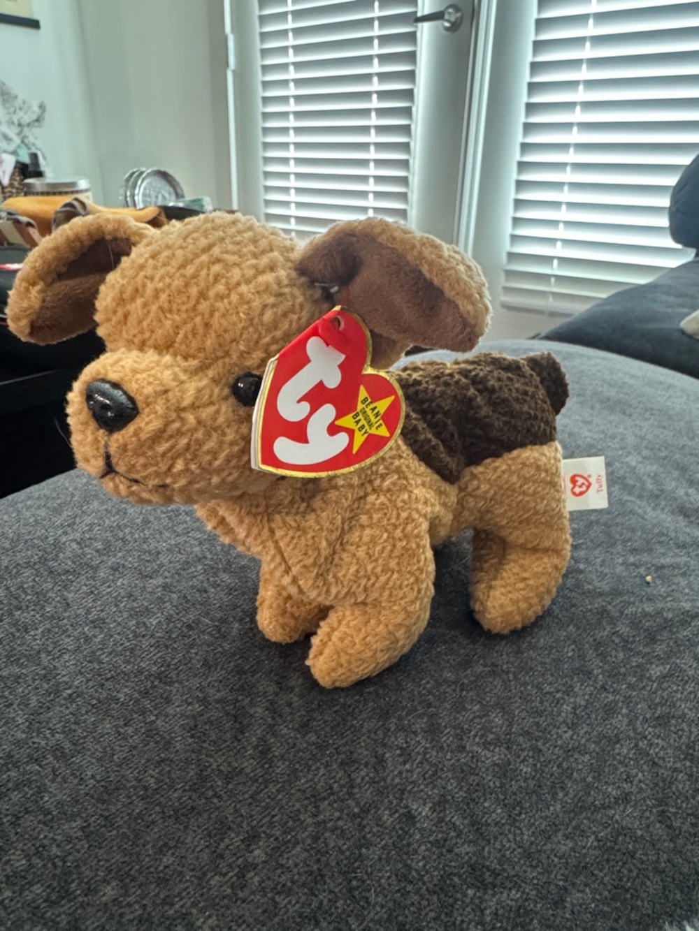 1996 “Tuffy” beanie baby